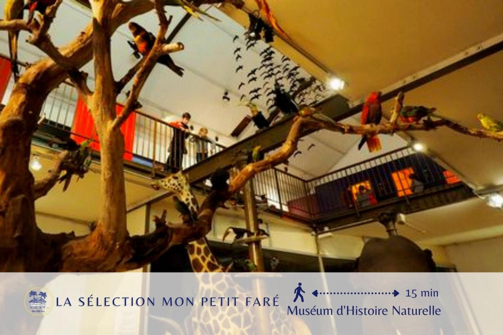 Paradis Des Poutres - Renove & Centre-Ville Bourges Dış mekan fotoğraf