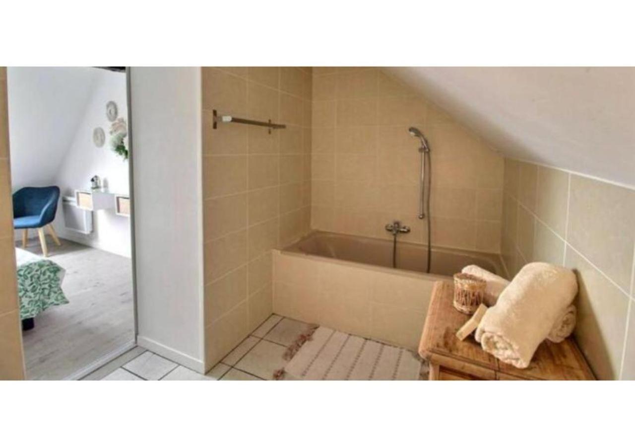 Paradis Des Poutres - Renove & Centre-Ville Bourges Dış mekan fotoğraf